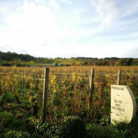 Le Clos Des Belvals Blancs-Coteaux Luaran gambar