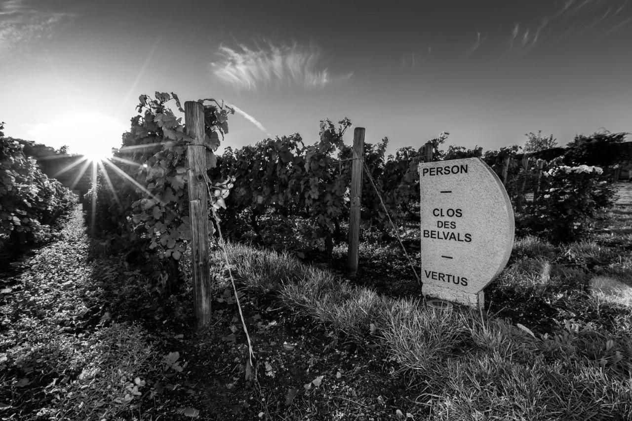 Le Clos Des Belvals Blancs-Coteaux Luaran gambar