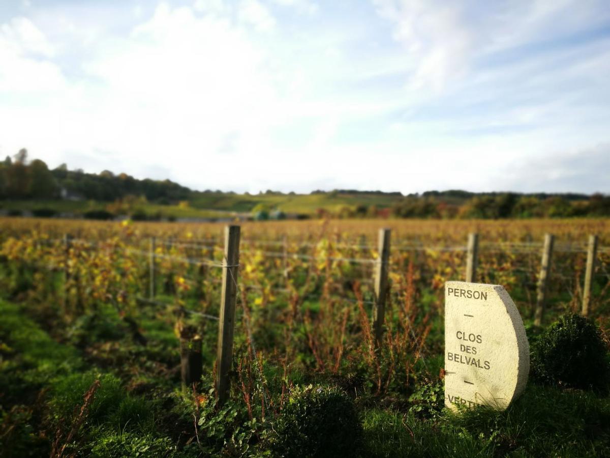 Le Clos Des Belvals Blancs-Coteaux Luaran gambar